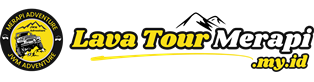 Logo Web